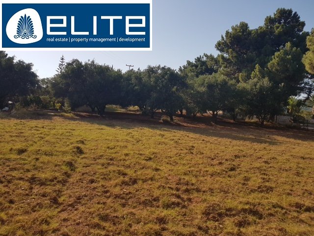 Image No.1-Plot for sale