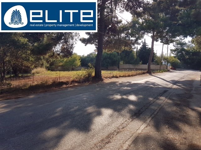 Image No.4-Plot for sale