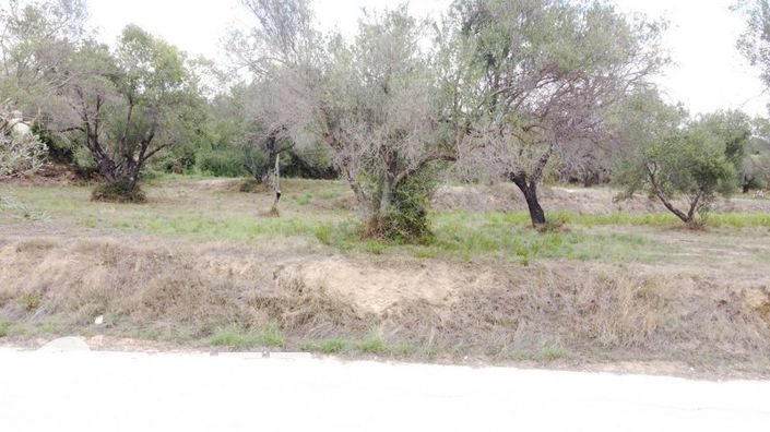 Image No.19-Land for sale