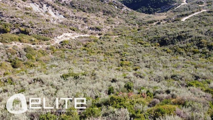 Image No.4-Plot for sale