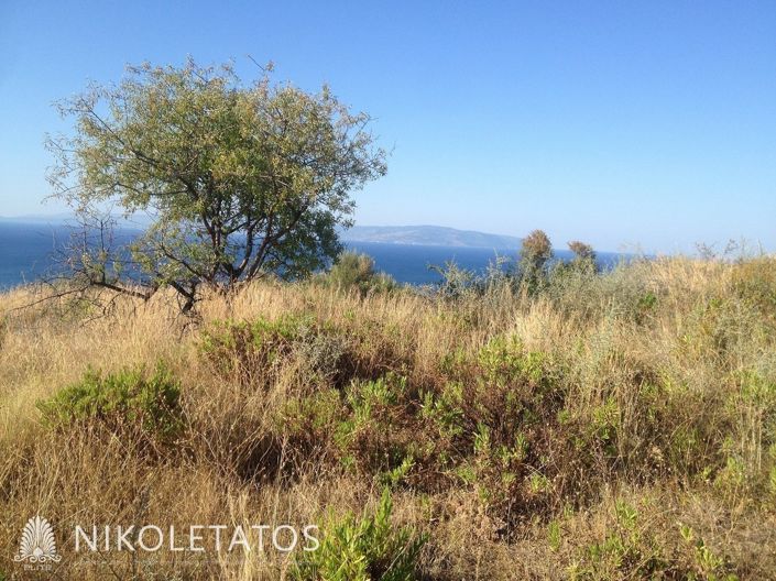 Image No.18-Land for sale