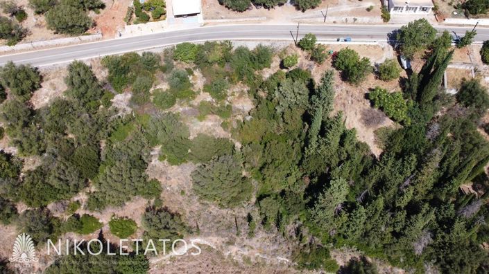 Image No.6-Land for sale