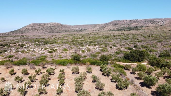 Image No.16-Plot for sale