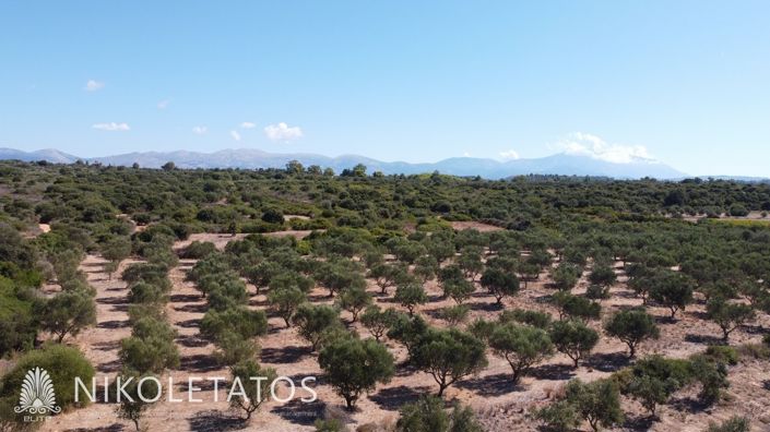 Image No.17-Plot for sale