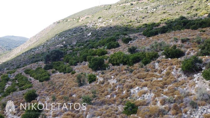 Image No.14-Plot for sale