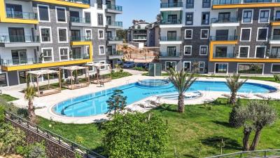 ZEYTIN--12-