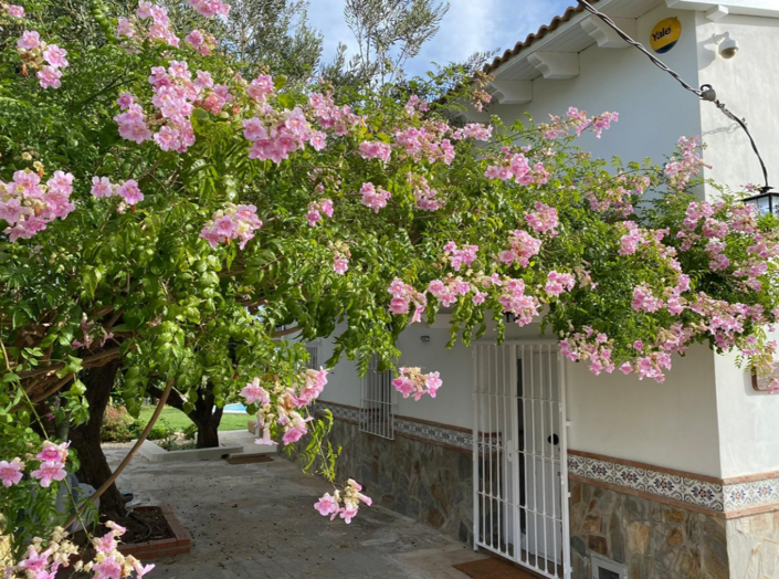 Image No.6-3 Bed Villa for sale