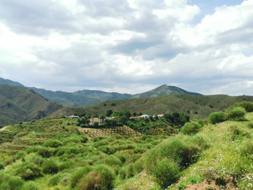 b98le8d7m9k3degpefzhs0lif8u4xzvzhwxtmggyekxx9