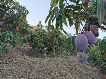 b98le8d7m9k3degpefzhs0lif8u4xzvzhwxtmggyekxx9