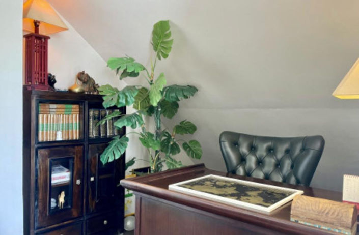 Image No.10-2 Bed Penthouse for sale