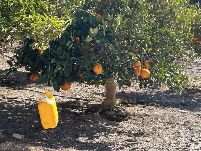 Image No.13-1 Bed Property for sale