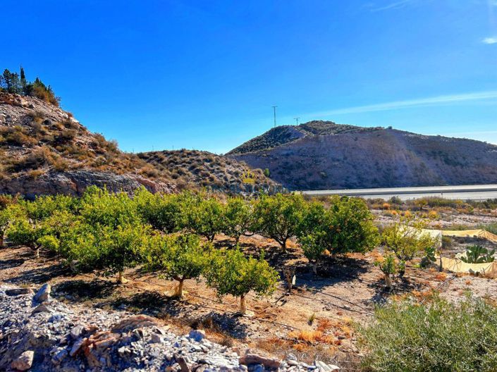 Image No.14-1 Bed Property for sale