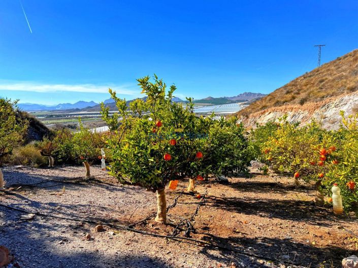 Image No.21-1 Bed Property for sale