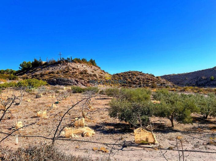 Image No.23-1 Bed Property for sale