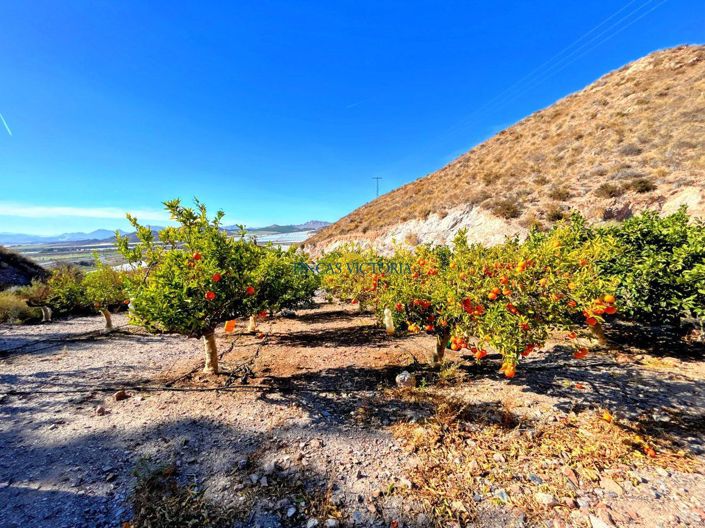 Image No.25-1 Bed Property for sale