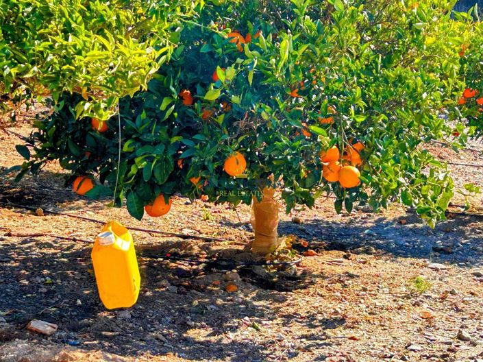 Image No.31-1 Bed Property for sale