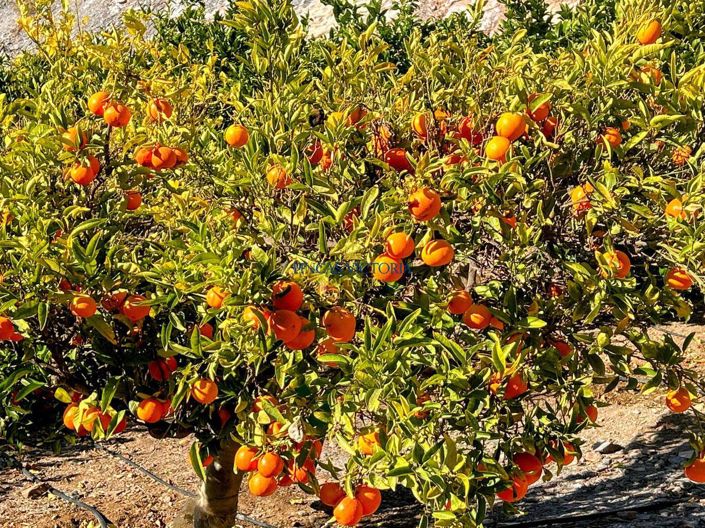 Image No.35-1 Bed Property for sale