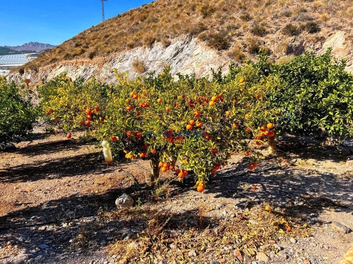 Image No.36-1 Bed Property for sale