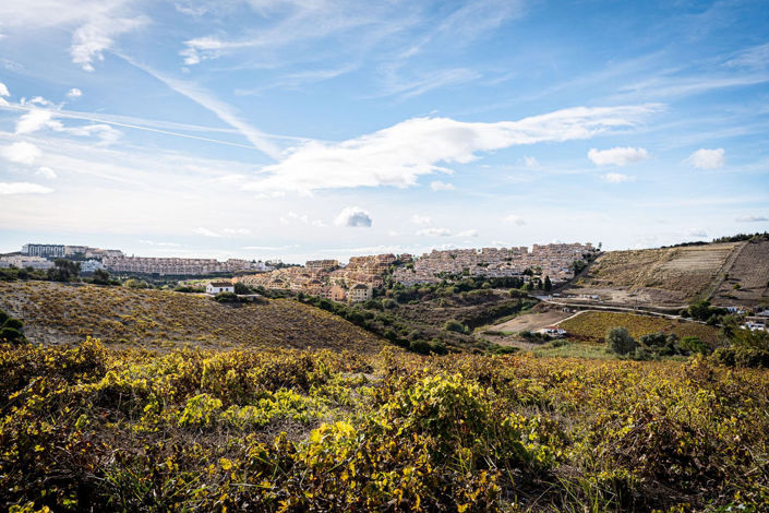 Image No.9-2 Bed Finca for sale