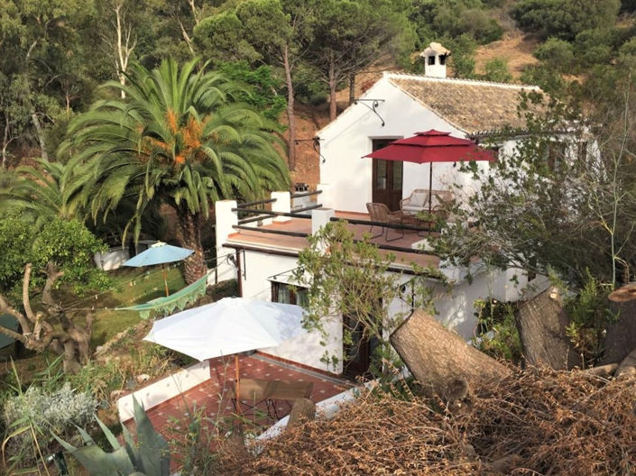Image No.1-4 Bed Finca for sale