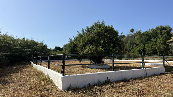 Image No.16-3 Bed Finca for sale