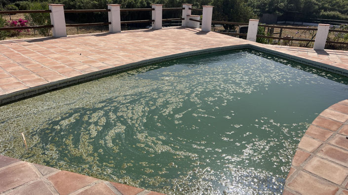 Image No.19-3 Bed Finca for sale