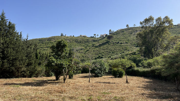 Image No.8-3 Bed Finca for sale