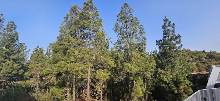 Image No.6-3 Bed Townhouse for sale