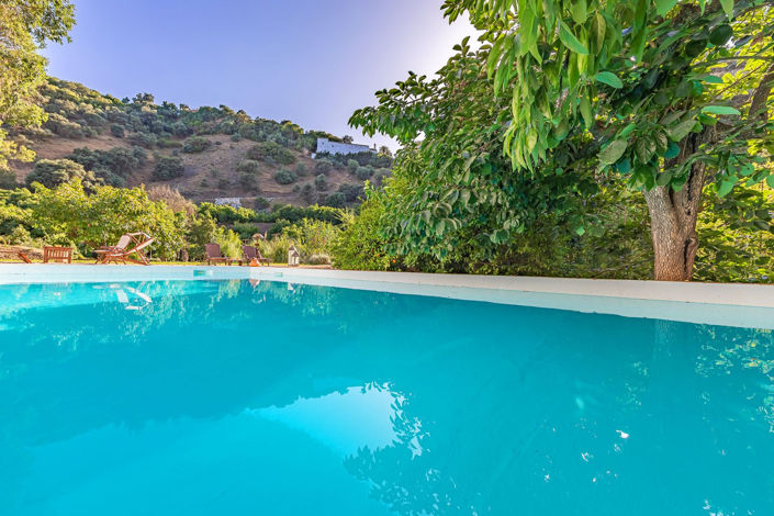 Image No.1-4 Bed Finca for sale