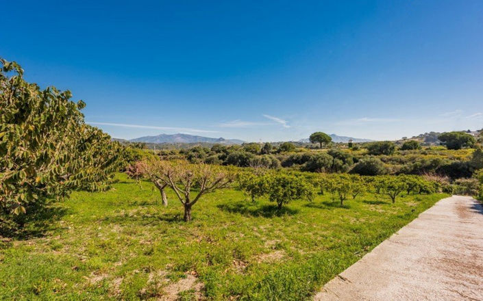 Image No.4-3 Bed Villa for sale