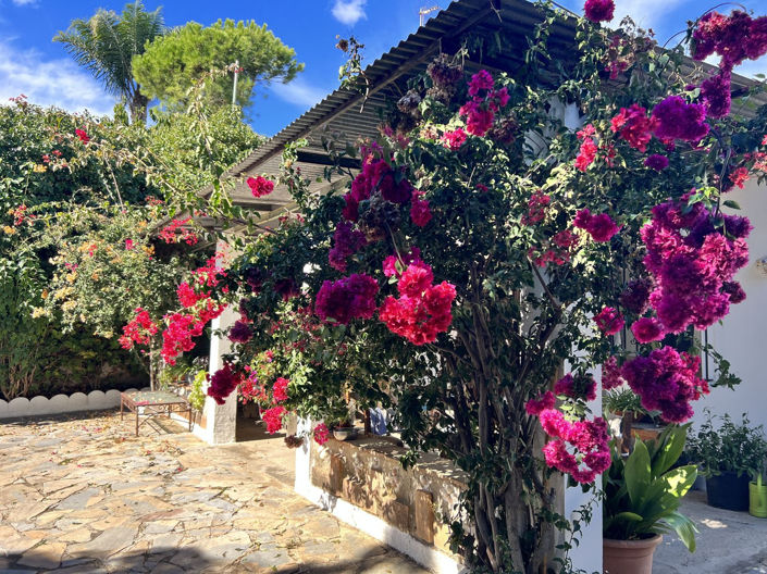 Image No.11-3 Bed Finca for sale