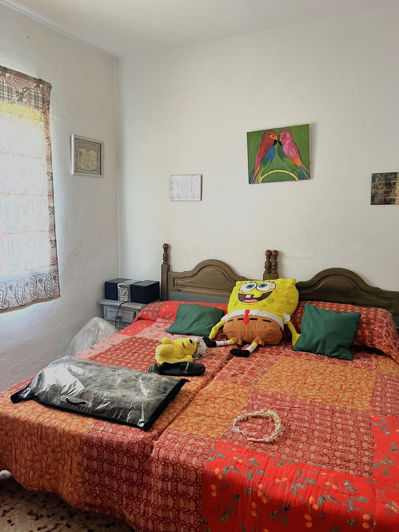 Image No.18-3 Bed Finca for sale