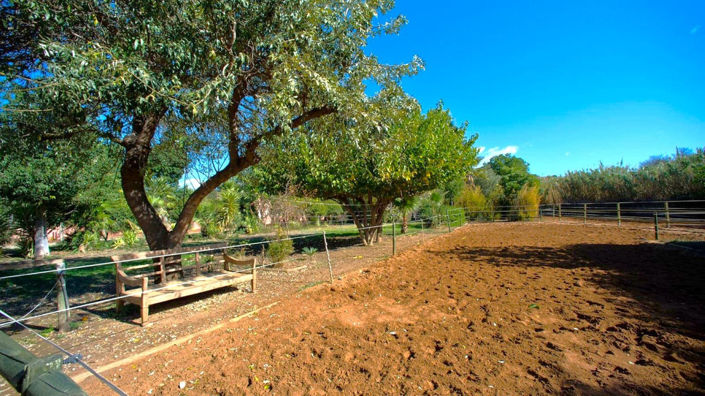 Image No.3-3 Bed Finca for sale