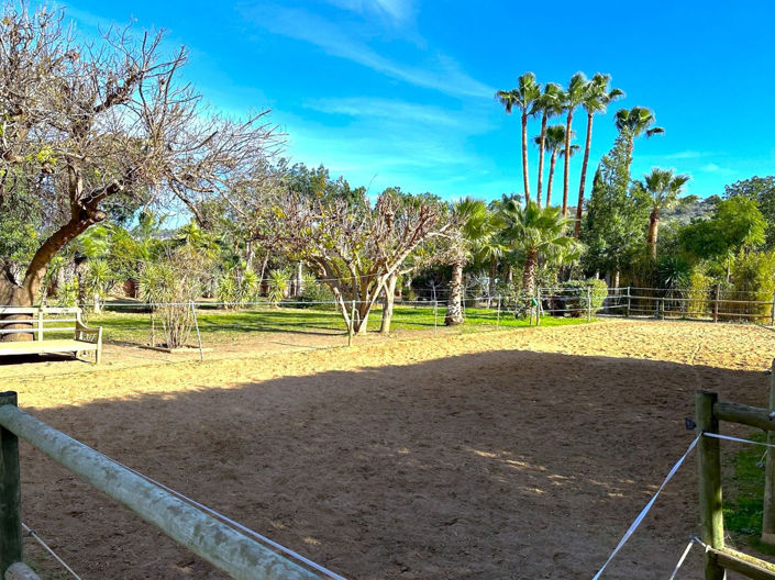 Image No.6-3 Bed Finca for sale