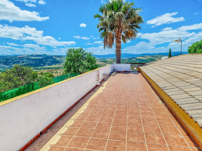 Image No.14-3 Bed Finca for sale