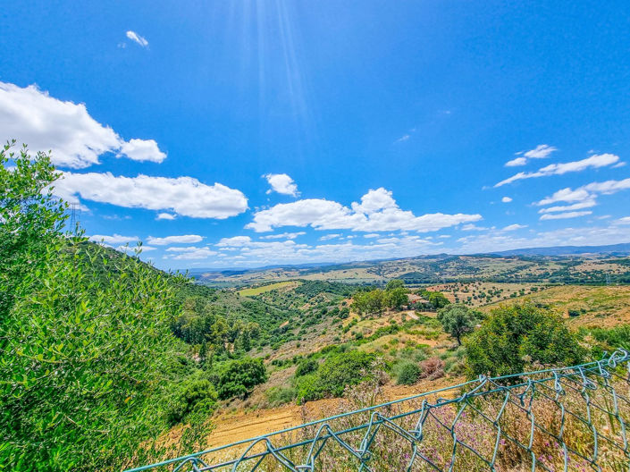 Image No.23-3 Bed Finca for sale