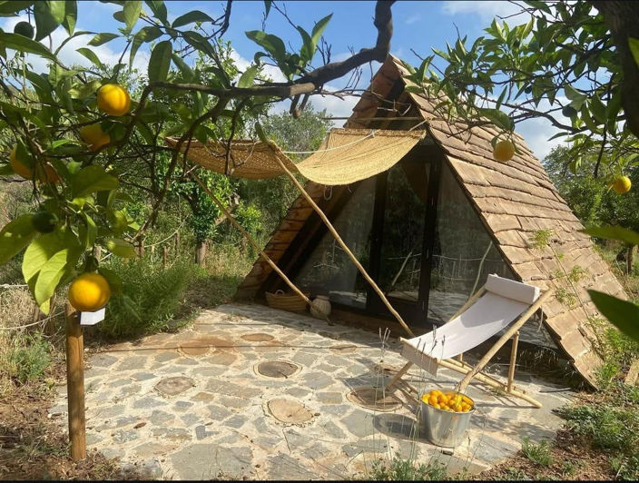 Image No.3-9 Bed Finca for sale