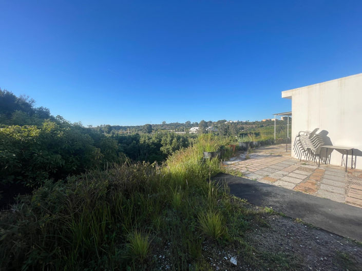 Image No.3-1 Bed Finca for sale