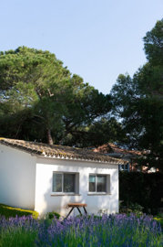 io0mnx9h9c10-bb915d1cb19341576dcdc994b81ab9c5