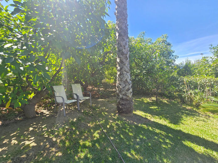 Image No.11-6 Bed Finca for sale