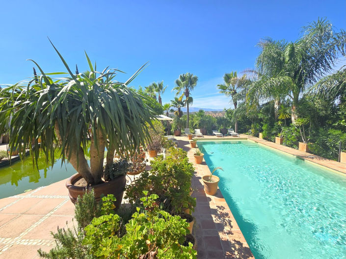 Image No.26-6 Bed Finca for sale