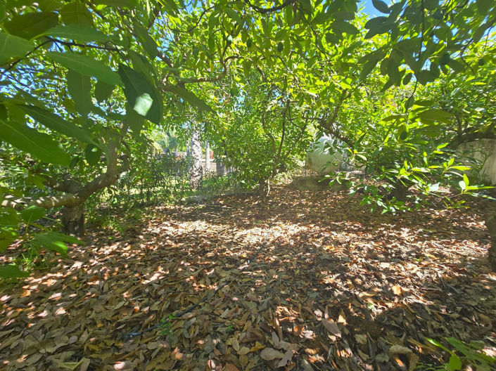 Image No.7-6 Bed Finca for sale