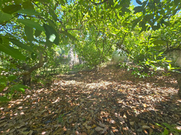 pllzk7o3qqf62-472dc5689992f46940464f5451882d0