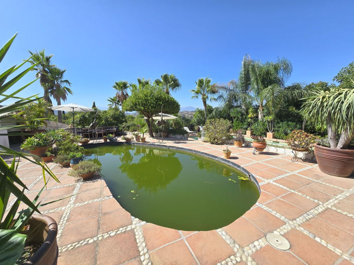 Image No.8-6 Bed Finca for sale