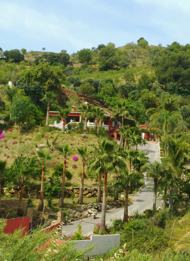 Image No.11-5 Bed Finca for sale