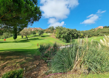 nlpmbs5szjl34-2e8657844e540eba0189d71f472ffca