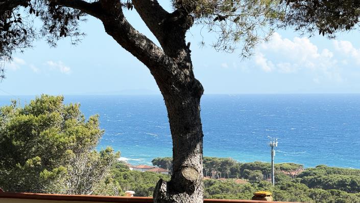 Image No.26-2 Bed Apartment for sale