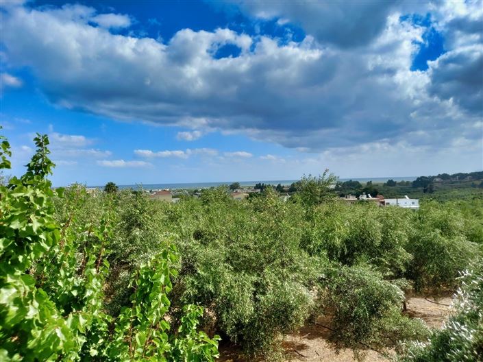 Image No.22-2 Bed Villa for sale