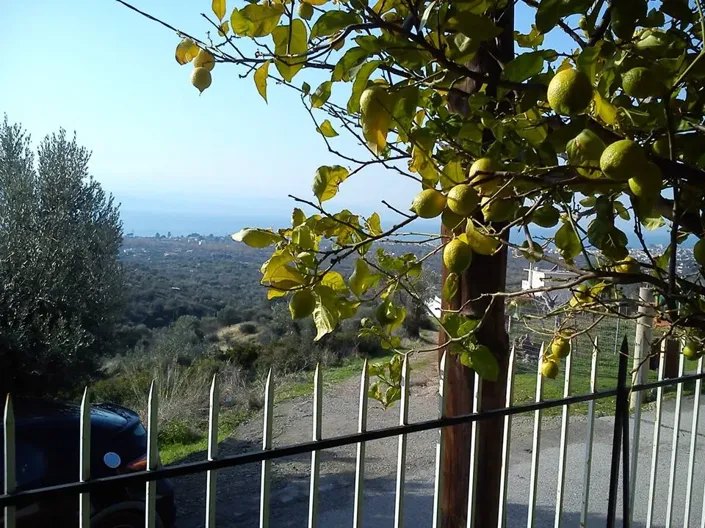 Image No.3-3 Bed Villa for sale