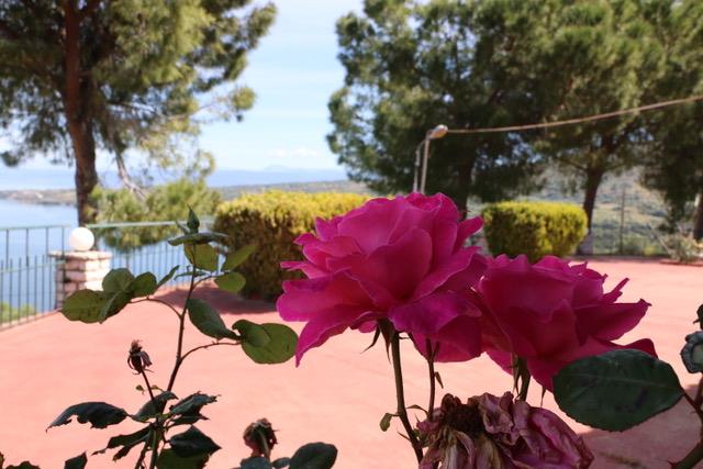 Image No.9-3 Bed House/Villa for sale